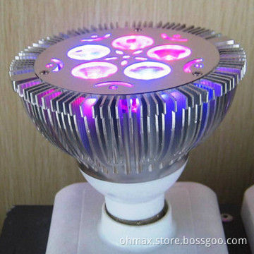 PAR38 LED Spot Grow Light Bulbs, 5W, for Small Plants/Flowers, Nice for Blooming